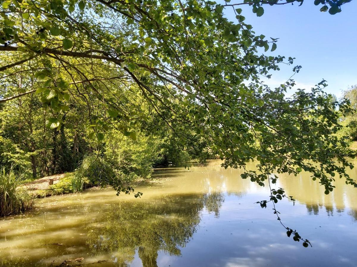 赖德E7 Roebeck Country Park别墅 外观 照片